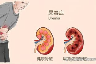 新利体育平台首页网址是多少截图3